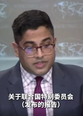 美官员称绝不认同以色列实施“种族灭绝”说法 网友：别撒谎了
联合国一个特别委员会