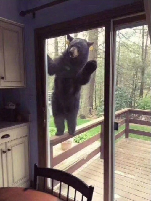 熊：我来看看你怎么一个月没有出门了