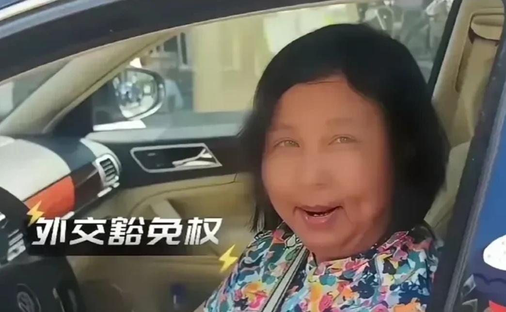 一句“滚蛋”何其霸道，何其张狂！
从大妈身上看到一个藐视众生，唯我独尊得样子，
