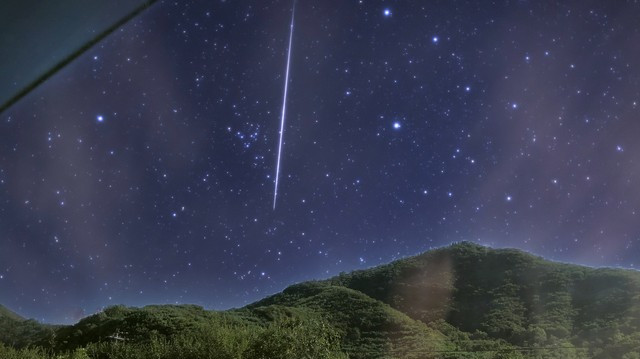 母亲再婚后厌恶我，把我过继给小叔，二十多年后，小叔笑母亲哭