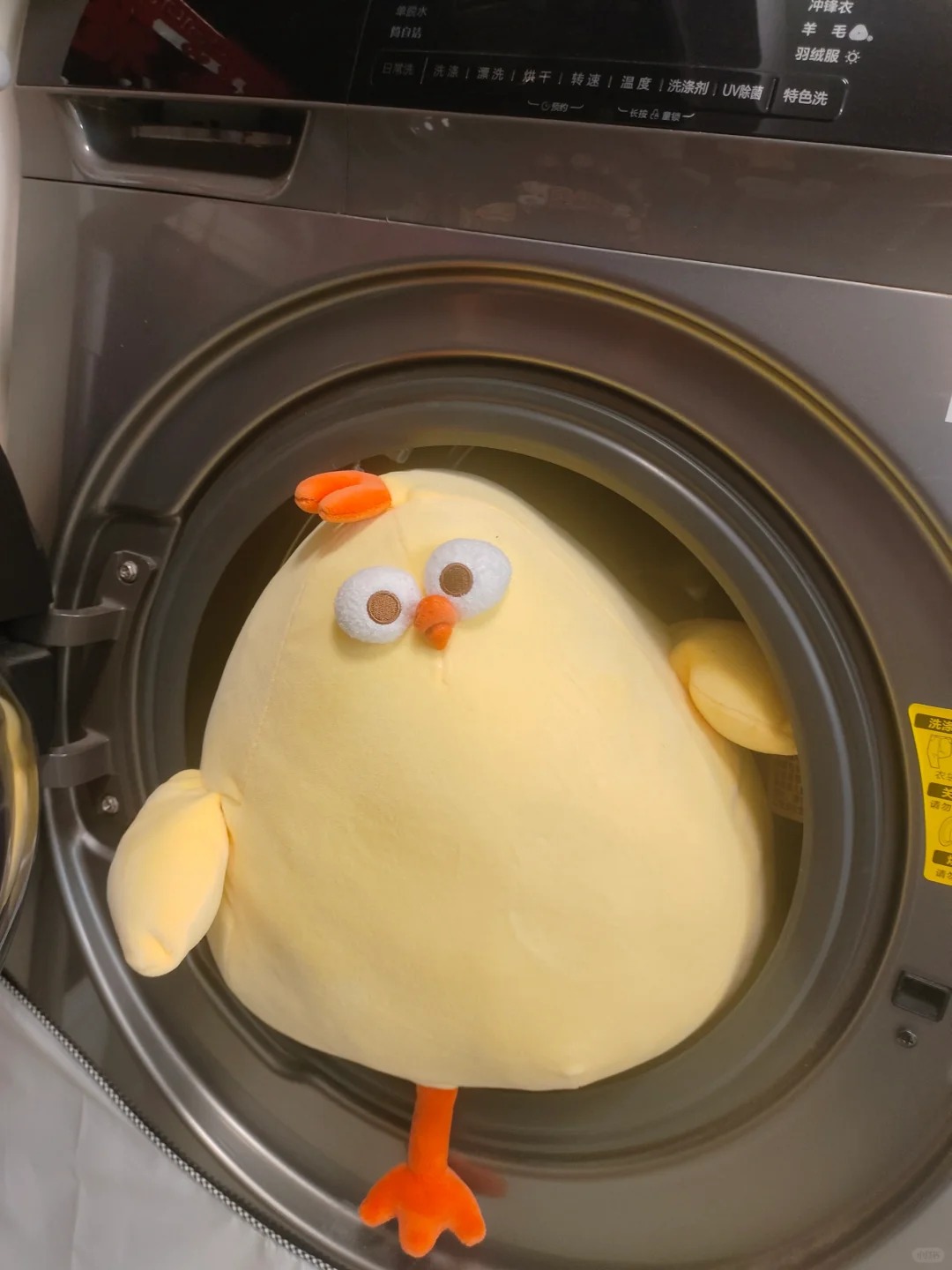 洗完之后炸毛了😱