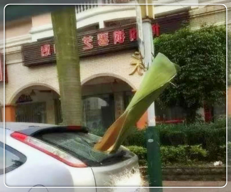 遇到此类情况，应寻求哪个部门以获取赔偿？