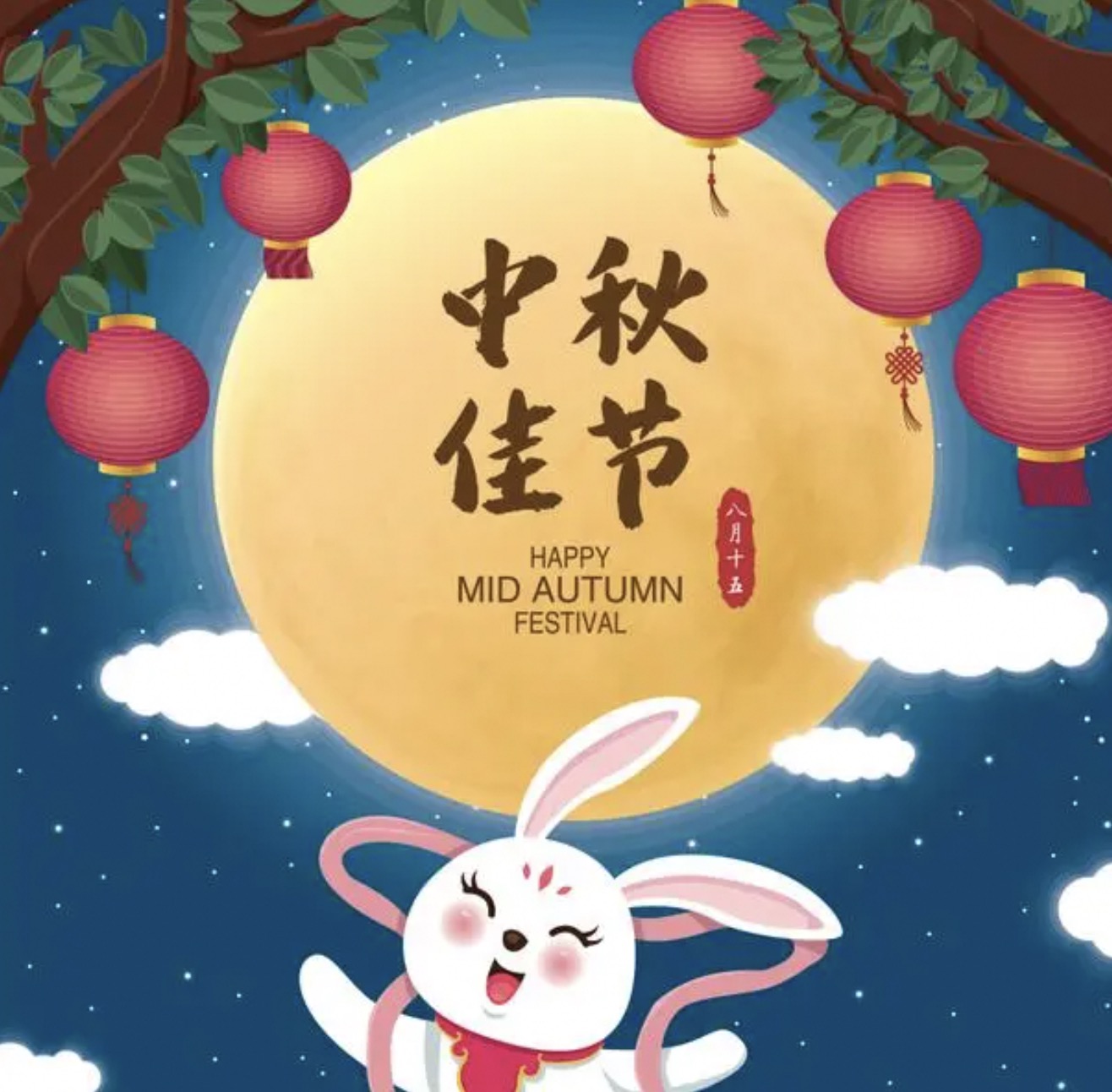 企鹅快点快点开