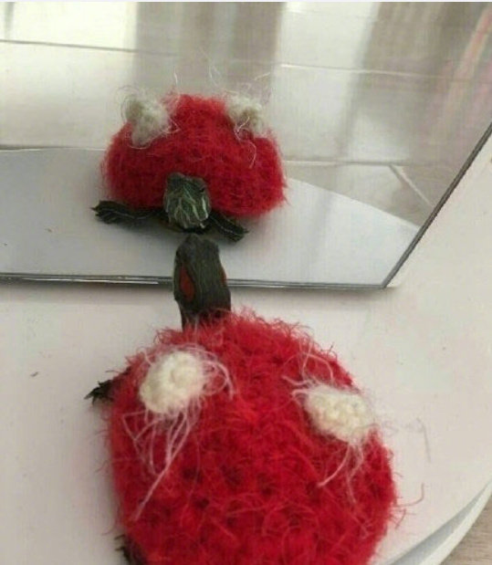 妈妈的爱，真的无微不至啊