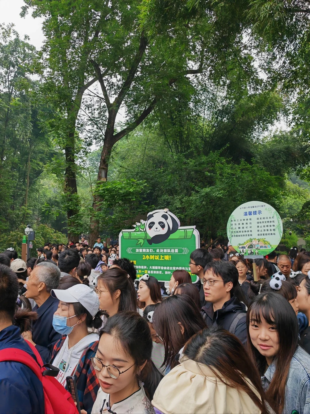 五一花花排队现状
🐼8点10分到熊猫6号馆门口，排了半小时，预计还要2h