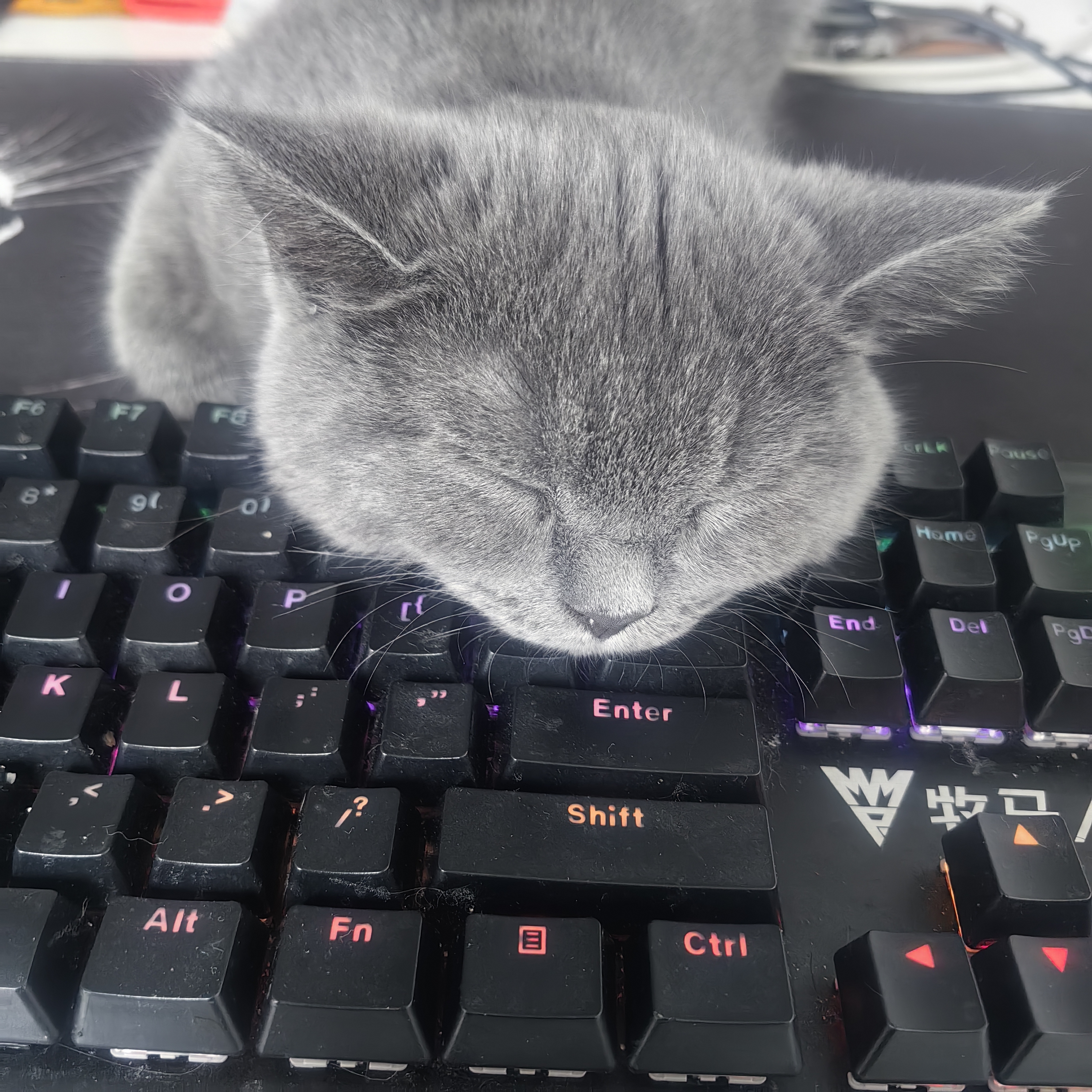 不是我不想干活！