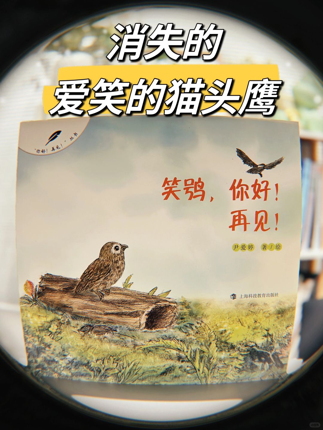 都说爱笑的人运气不会太差，那爱笑的鸟呢？
笑鸮，又叫笑猫头鹰，是新西兰特有的一种