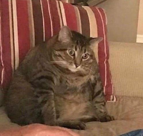 吃完夜宵后开始反思的我