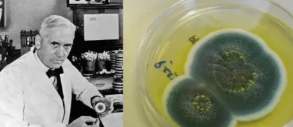 1941年，西方把青霉素列为军事机密，中国老百姓和军人伤口发炎红肿后，往往因为没