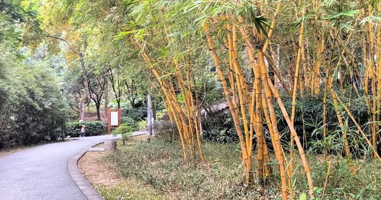 “人生，就是如此，总有这样或那样的遗憾与不完满，总有这样、那样的怅惘与不甘心。”