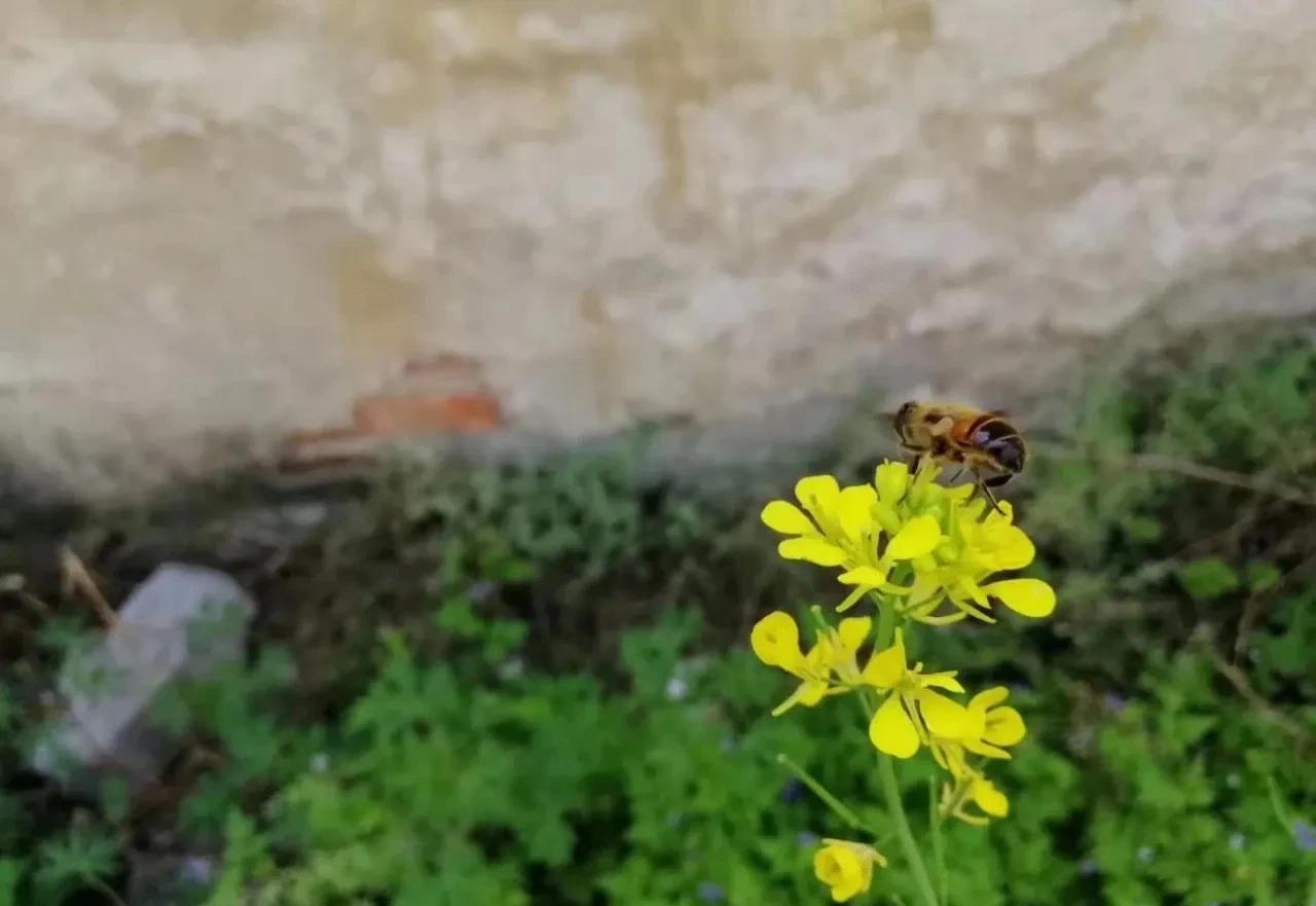 让爱情升温，三招让女人更爱你