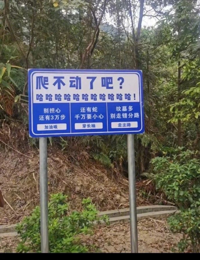 不过我喜欢