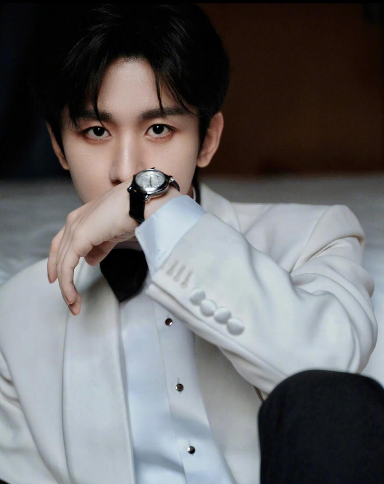 成毅的演艺经历