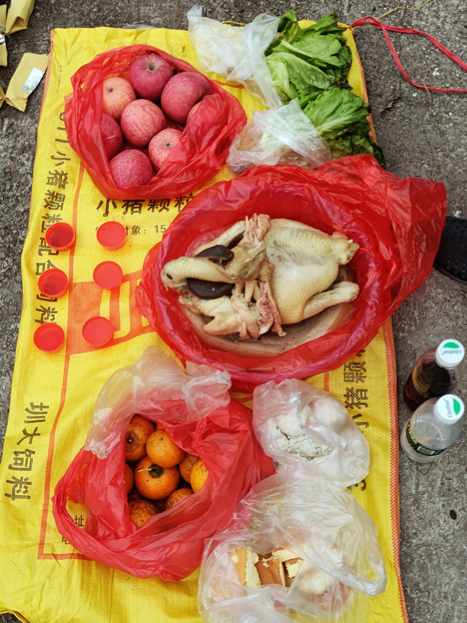昨天去扫墓，草木青青，找不到路，清理野草花了很大功夫。因为离清明节还有十天，捻子