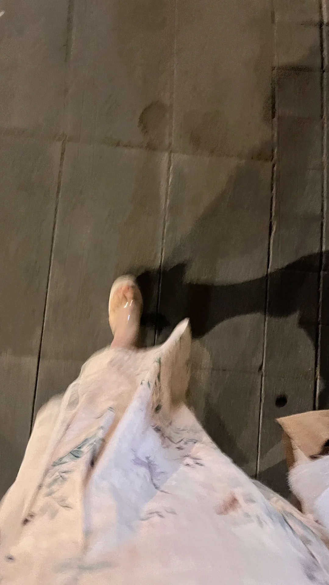 想闪婚了 谁都行🙃