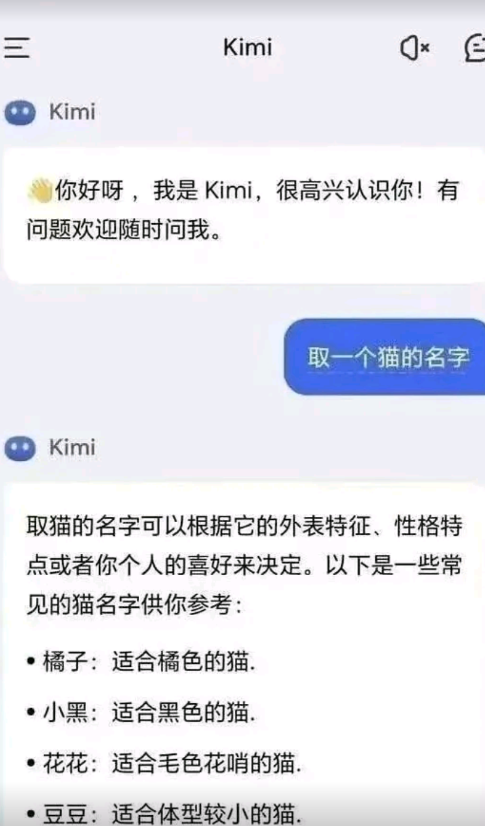 取一个猫的名字