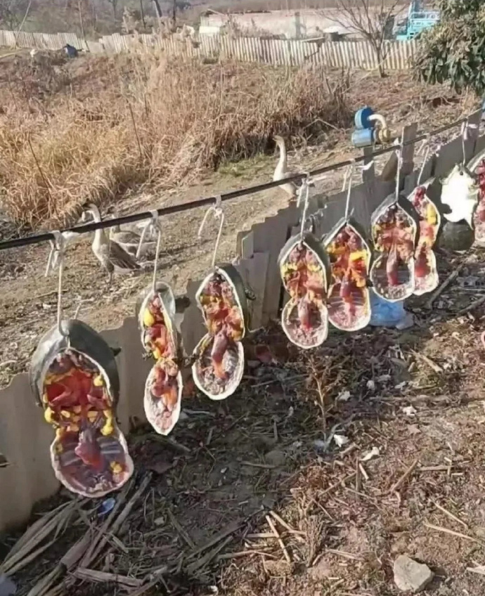 这是啥啊？隔壁一土豪邻居晒出来这个问他只是笑笑，不知道这东西值钱不？ 