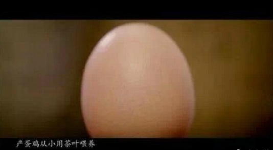 果然吃不起