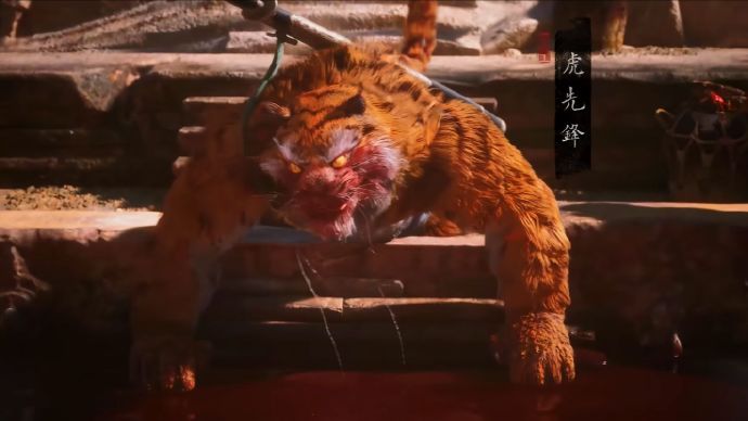 看样子这次虎先锋吃猴头自助餐吃到饱不是梦了。