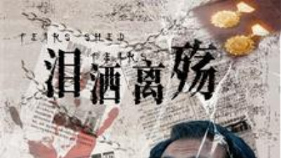 泪洒离殇在线观看《泪洒离殇》完整版全集（31集）