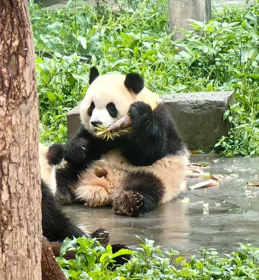 歪，110吗？这里是虫洞，我的桥妃断了
你问我桥妃是谁？我大馆长给我买的