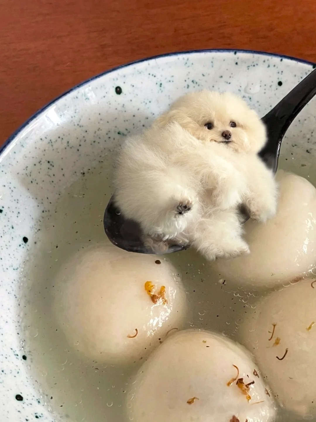 糯叽叽的宝宝我一口一个
元宵节准备给家人一些震撼
把宝宝搓成汤圆给姨姨们助助兴
