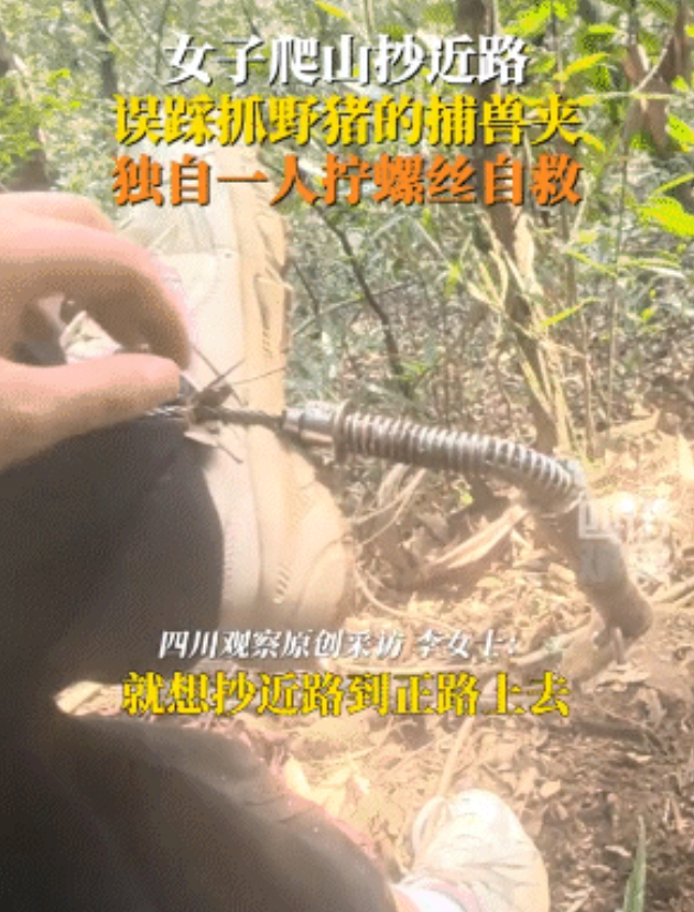 “谁这么缺德啊！”浙江杭州，一女子爬山时走“野线”，踩中抓野猪的捕兽夹，女子痛骂