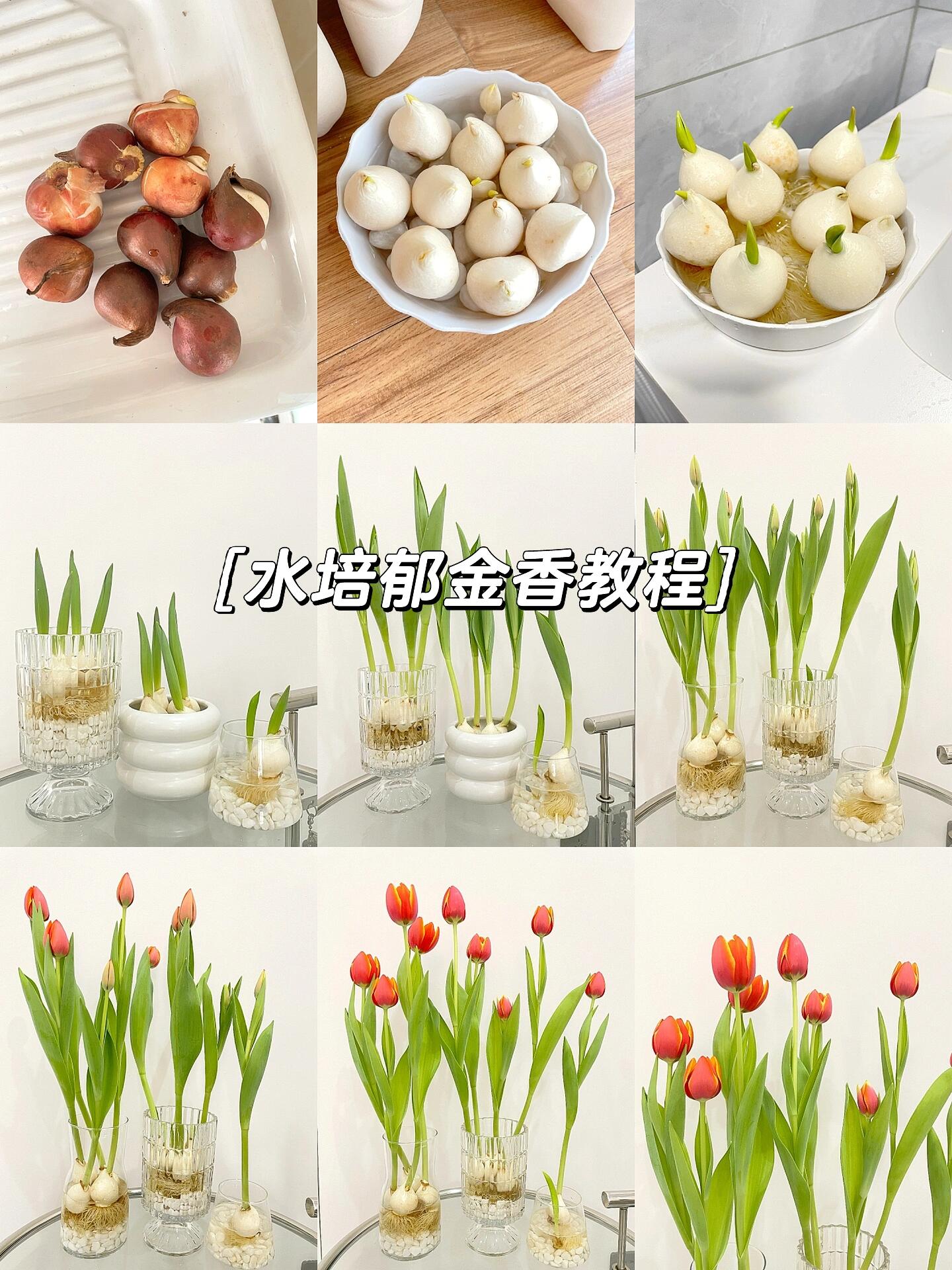 我的上班搭子新成员