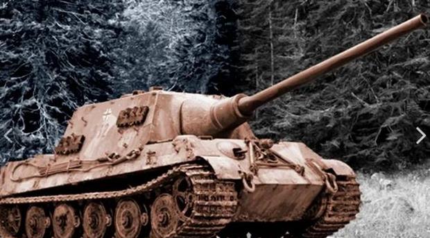 没成改变战场局势的猎手, 结果反倒成了猎物, 猎虎存在哪些问题?