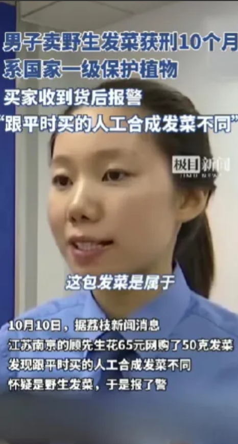 卖假货的没事，卖真货的出事了！
南京一男子感觉在网上买的发菜和平时买的不一样，于