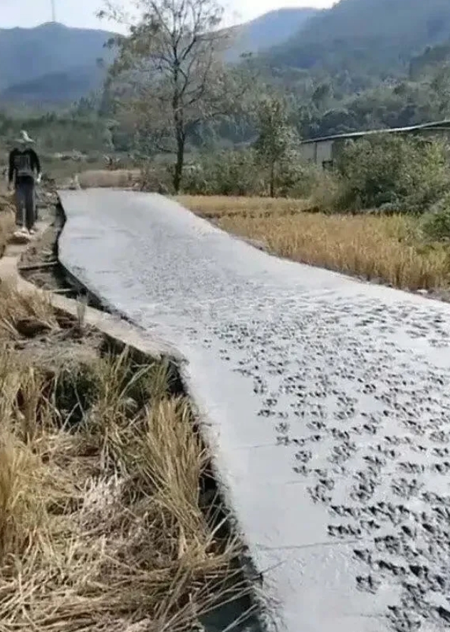 这条路叫什么名字好呢？