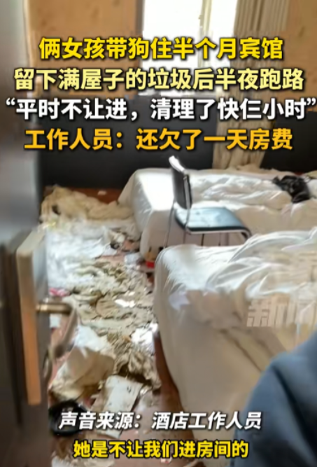 陕西咸阳，俩年轻女孩带狗住酒店，期间不让保洁进入，半个月后，带狗连夜跑路，留下满