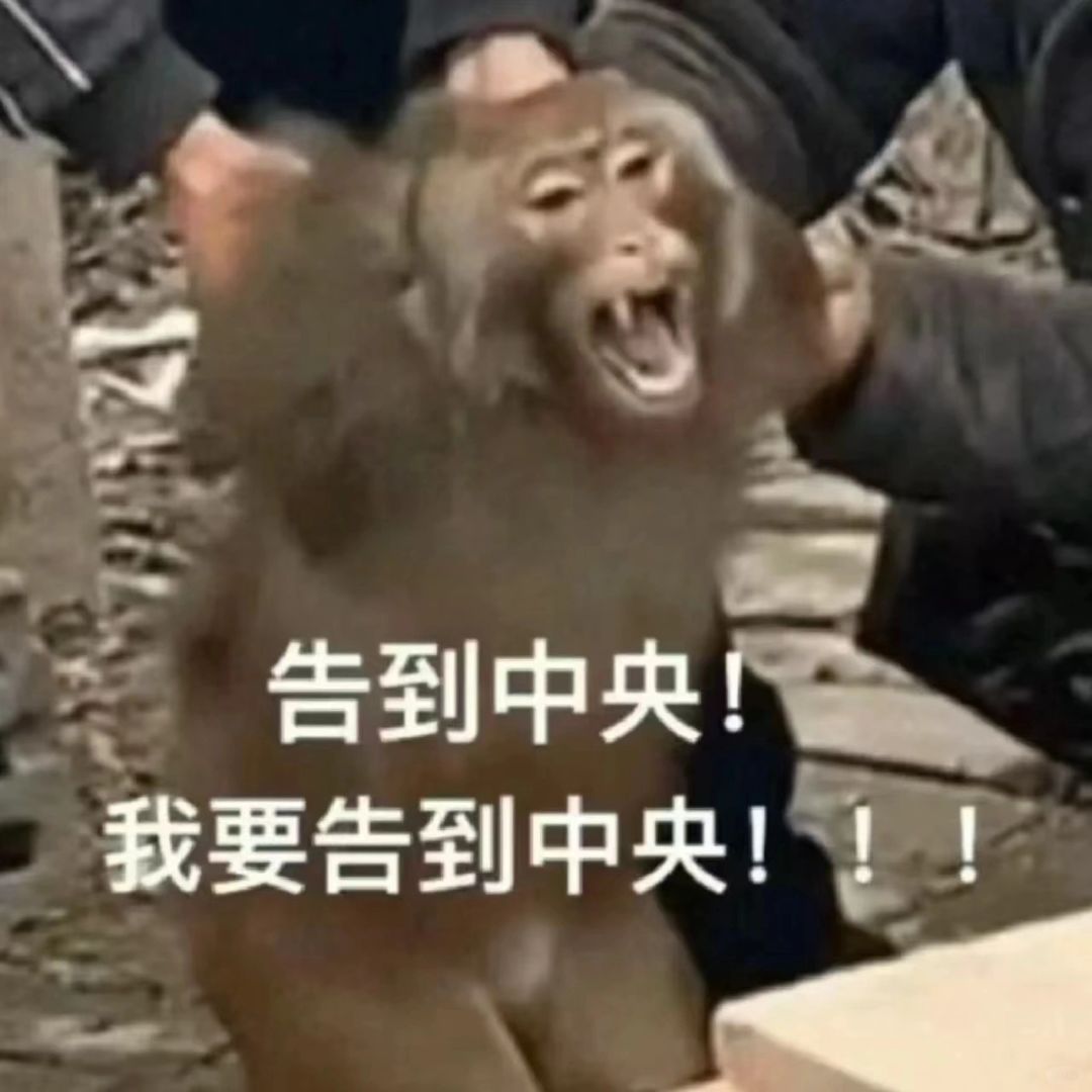 吗喽表情包
搜罗了一包表情包给大家.
哈哈哈哈哈哈我可太喜欢吗喽了