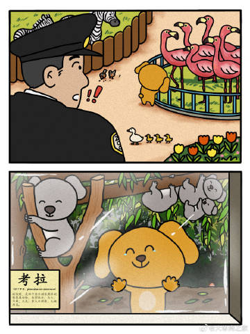 抓错狗了叔 ​