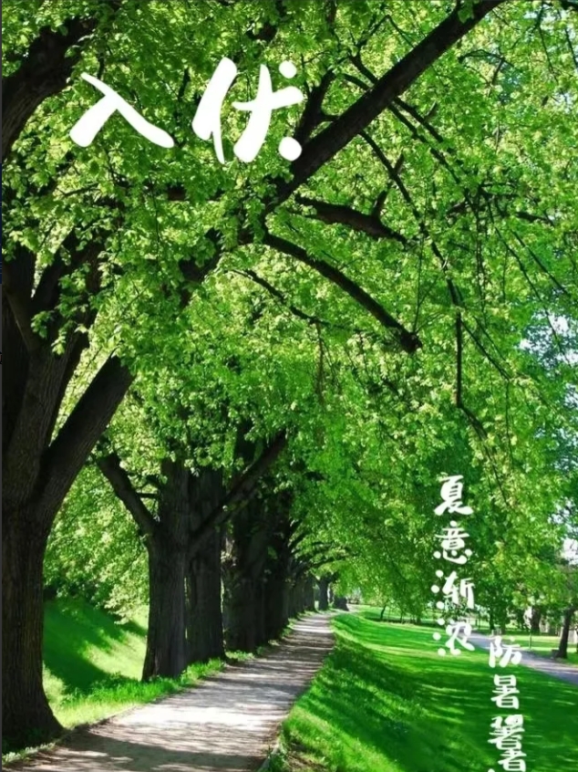 三伏天饮食妙招：羊肉驱寒，鸡肉补元气，猪蹄养颜佳品，品尝瓜果美味！三伏天饮食宝典