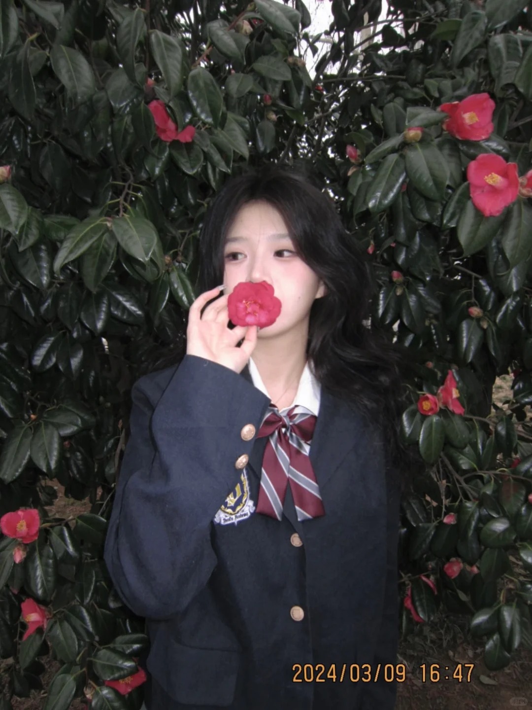 Sooha🌺
学校的山茶花开了，火速翻出我压箱底的暗月校服，适配度满分