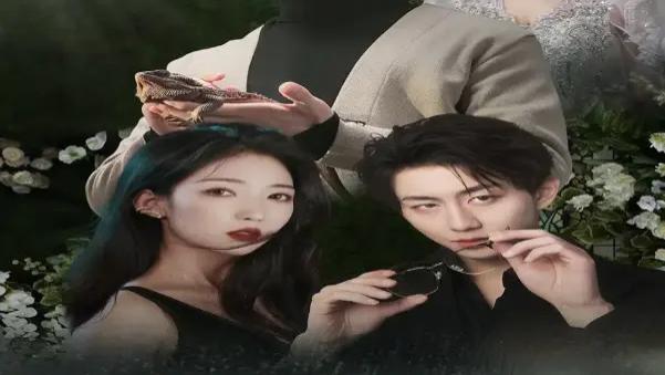 错位人生&养大他人的儿子后我笑了2024短剧免费观看全集超清【1080p超清中字】未删减完整版免费在