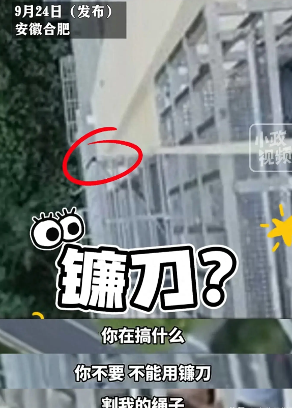 在合肥这座繁华的城市中，一起惊心动魄的事件引发了社会各界的广泛关注。近日，一位名