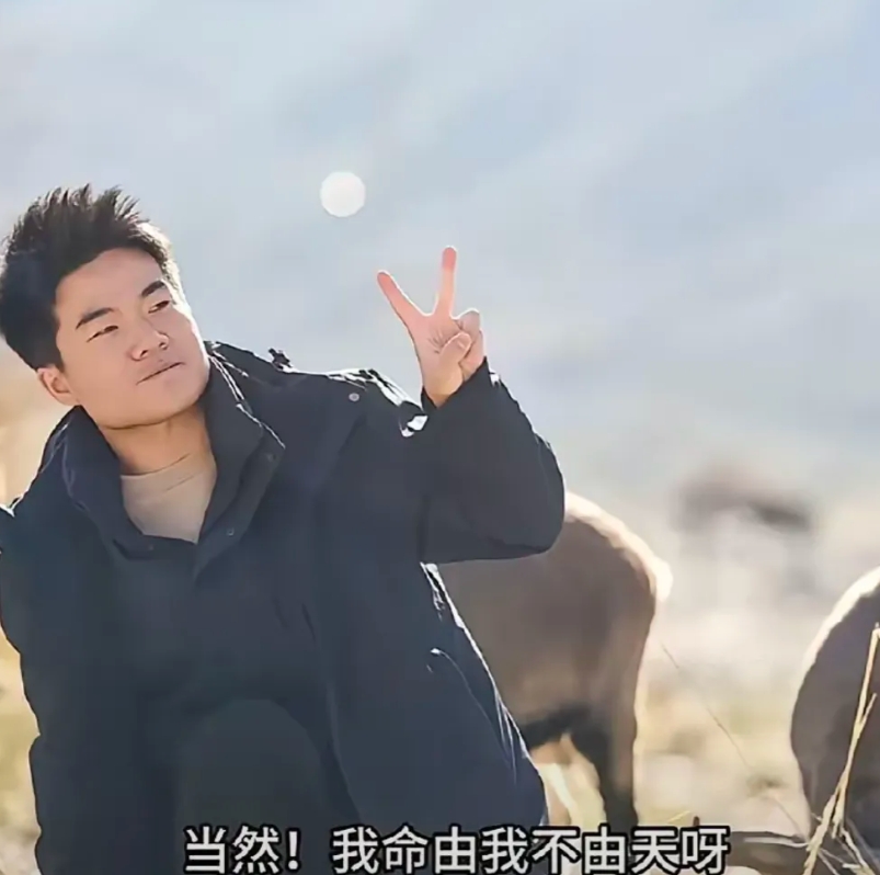 真的被宇辉感动了
“你生来就一无所有，
何惧从头再来。”
宇辉放弃了两年时间，