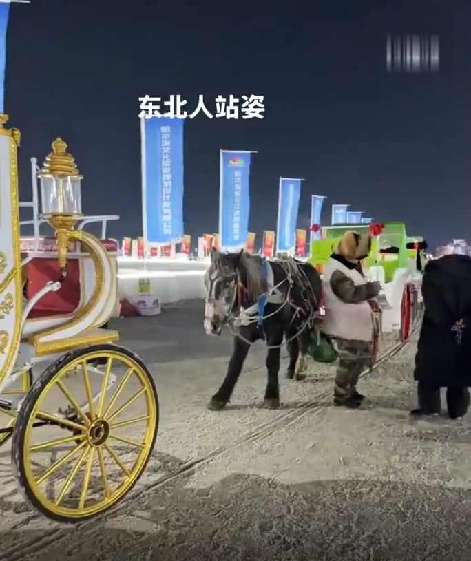 到了东北所有物种的统一站姿