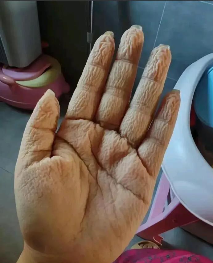 这该看什么科？