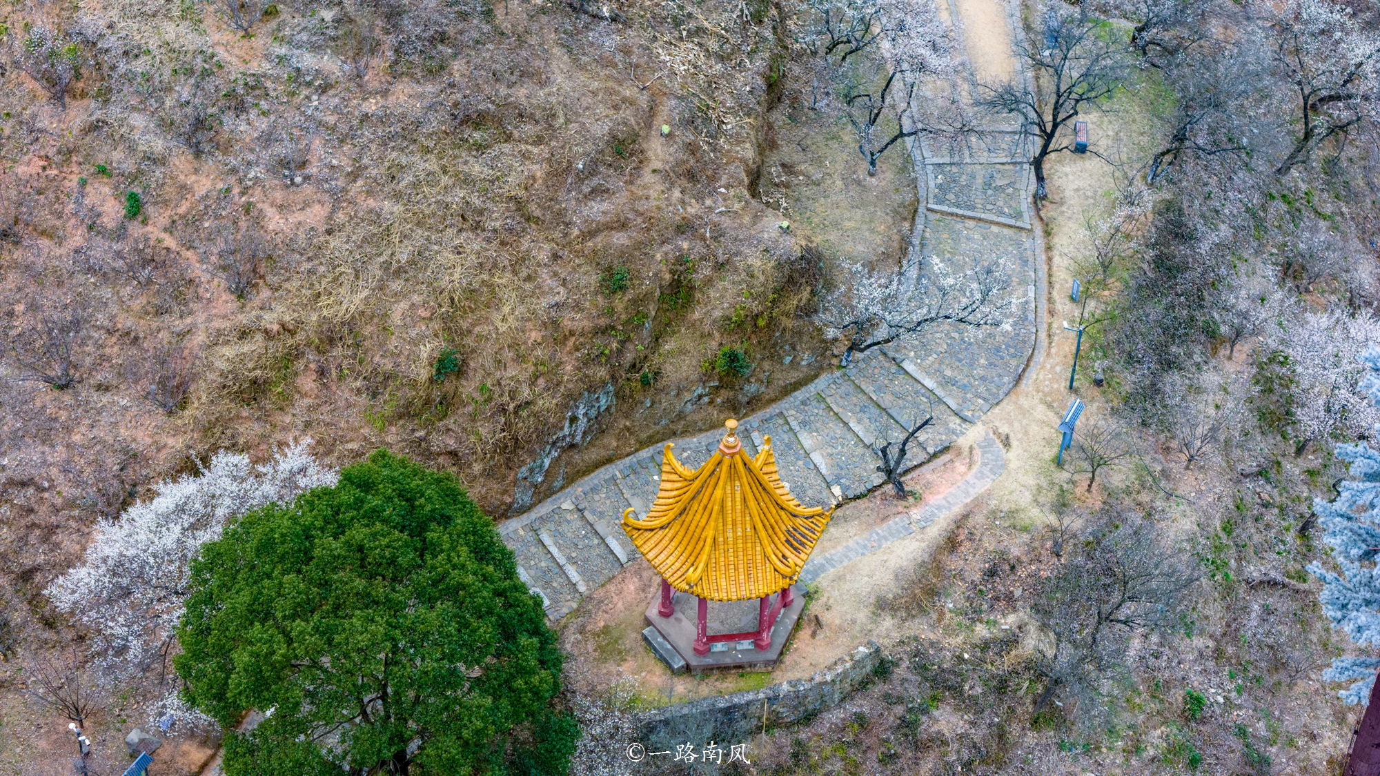 古代连通江西和广东的唯一驿道，山上遍布梅花，景色梦幻