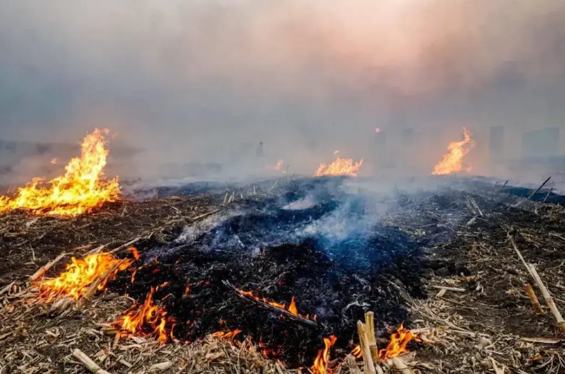 管不住了，很多地方的人都在燃烧麦秸秆，他们明说就算拘留还是要烧。
 
他们说：“