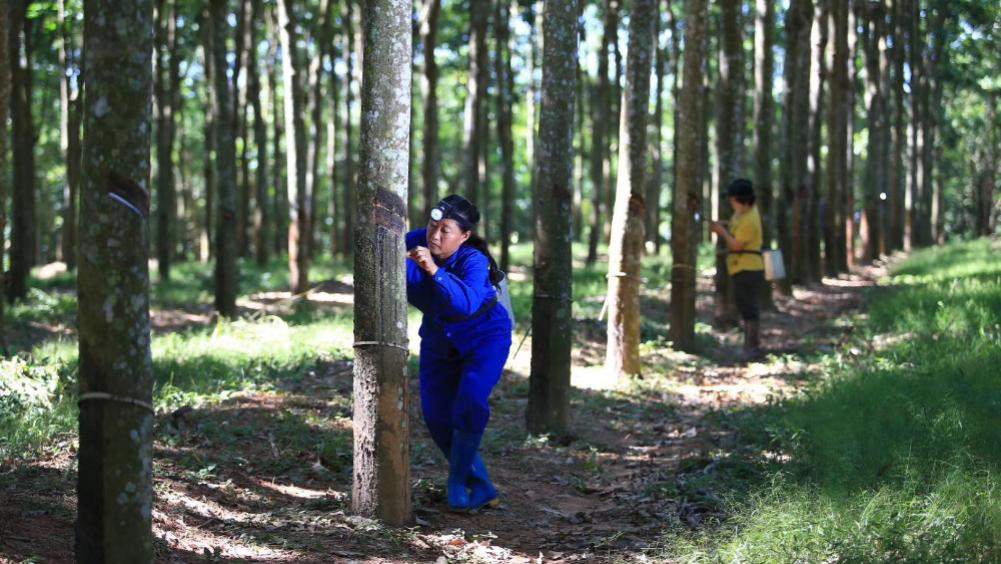 一滴胶水，如何从海南“走”向全球？