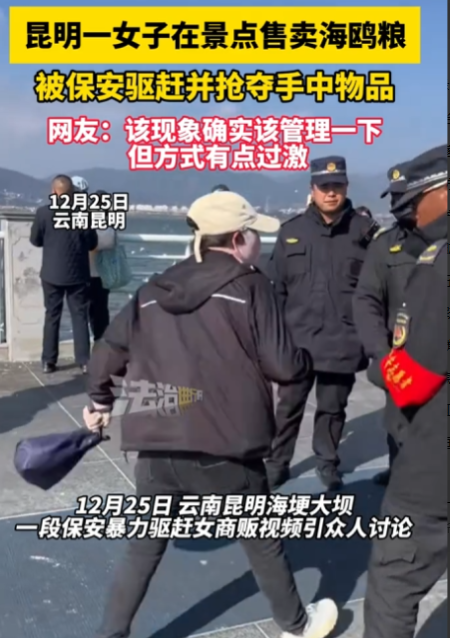 云南昆明，一群海鸥在湖畔嬉戏，引得游客纷纷驻足。就在这时，一段视频在网络上悄然流
