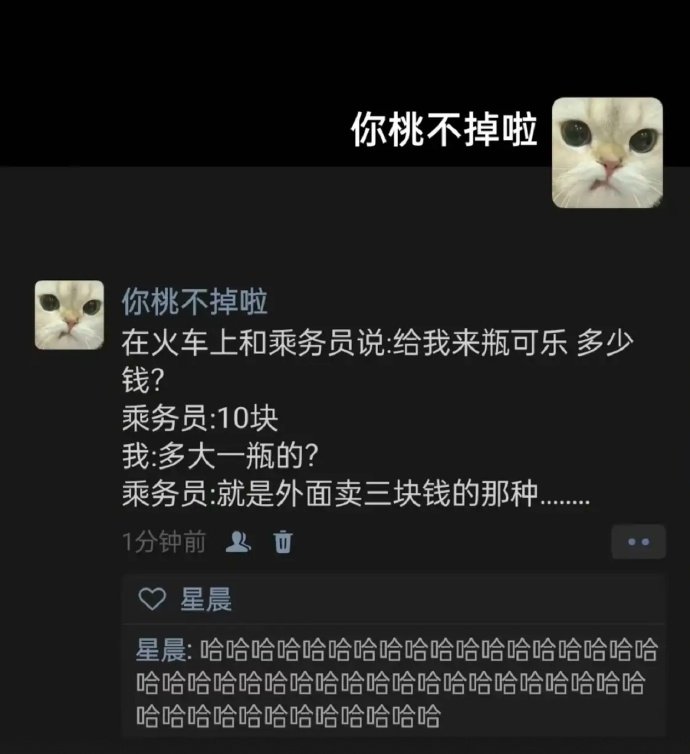 乘务员：就是外面卖三块钱的那种