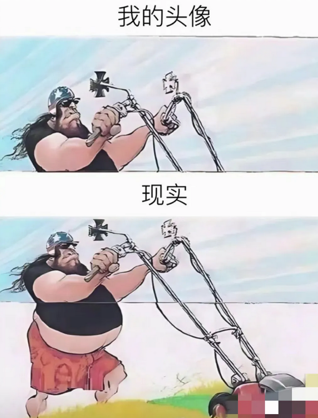 理想与现实的距离。