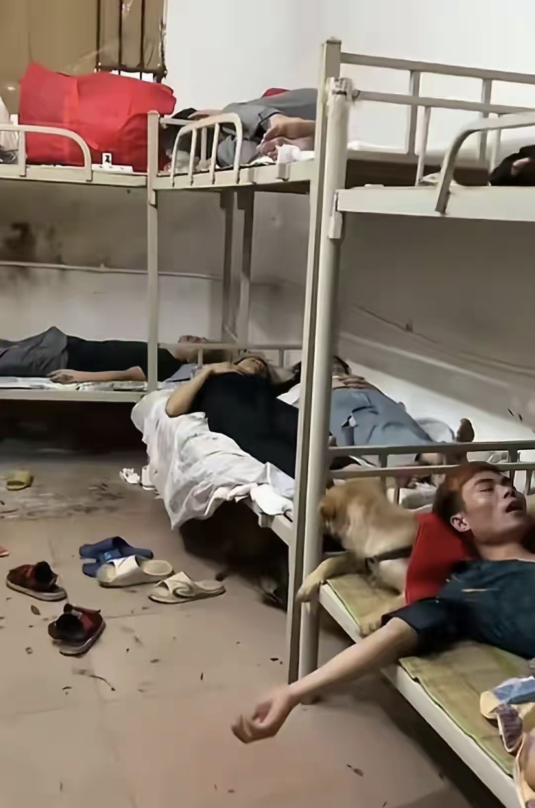 感觉被中介骗了呀，我是在网上看到的招聘信息。说是招质检，只需要看看产品就行，然后