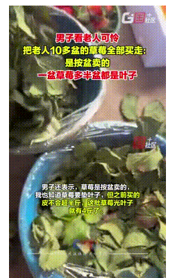 云南楚雄，一男子因见老人可怜，一次性买下老人10多盆草莓，可回家打开查看后才发现