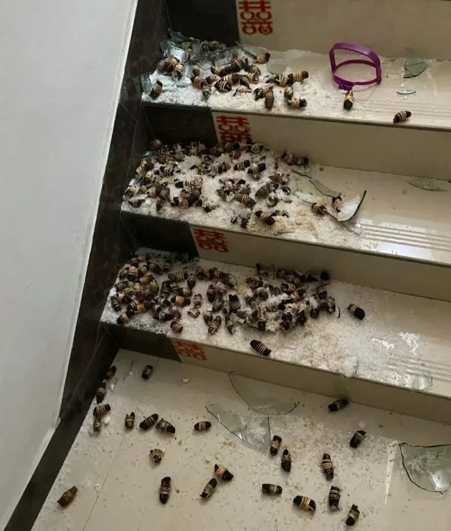 主人家估计头都大了，这要还是不要好！[捂脸][捂脸][捂脸]